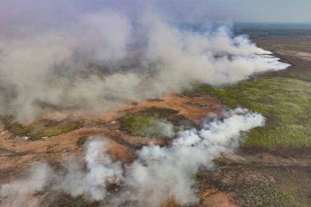 Brasil: Peligra fauna, vegetación y casas por incendios en mayor humedal del mundo