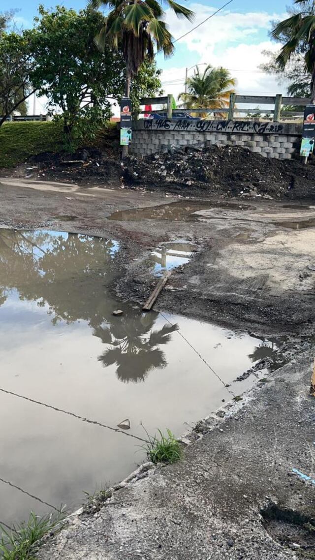 Comerciantes de Piñones reclaman acción para que arreglen carretera