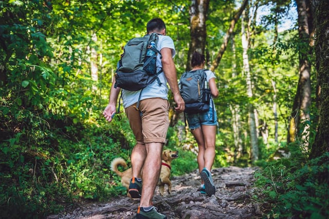 Ecoturismo en la lucha contra el cambio climático