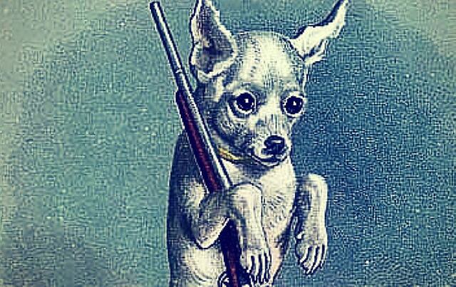 Perro le dispara a su dueña