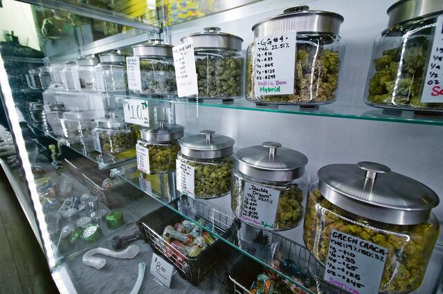 Contradictorio diagnóstico para la industria de cannabis en Puerto Rico