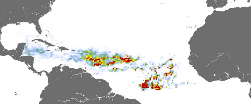 Una extensa marea de sargazo en el Océano Atlántico se reportó en el informe de febrero del Laboratorio de Oceanografía Óptica, de la Universidad del Sur de Florida.
Imagen provista por Laboratorio de Oceanografía Óptica, Facultad de Ciencias del Mar, de la Universidad del Sur de Florida