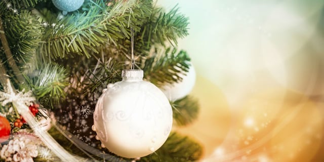 Bhatia justifica compra de árboles naturales de Navidad