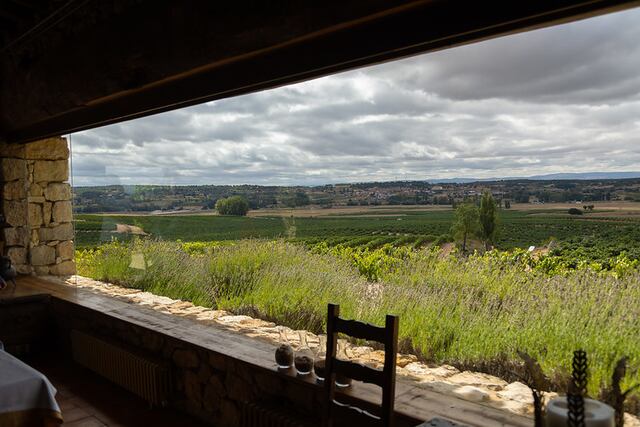 D.O. Rueda y Ribera del Duero: Cuna de grandes vinos españoles
