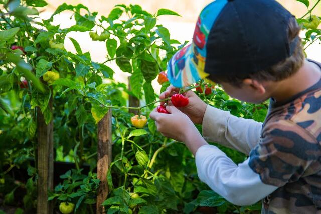 Para La Naturaleza busca agricultores