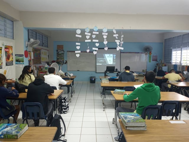 Estudiantes se interesan en la práctica de la apicultura