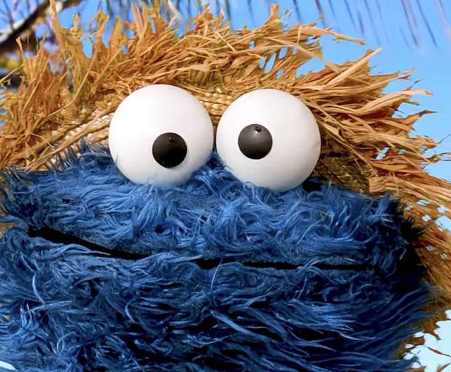 Cookie Monster: “DeBí CoMEr MáS GaLLeTaS” y lo dice con pava puesta