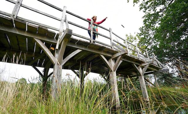 Puente de Winnie Pooh será subastado