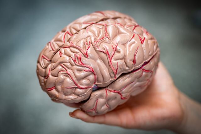 Gimnasia cerebral: ejercicios para fortalecer tu mente