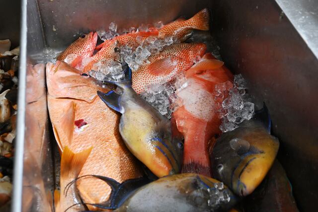 Pescado en casa: errores comunes al limpiarlo