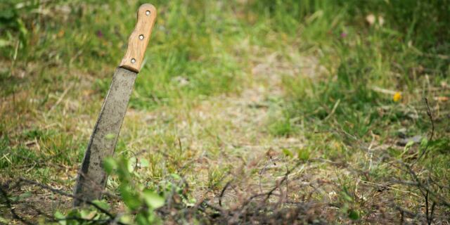 Le roban yegua a hombre a punta de machete en Utuado