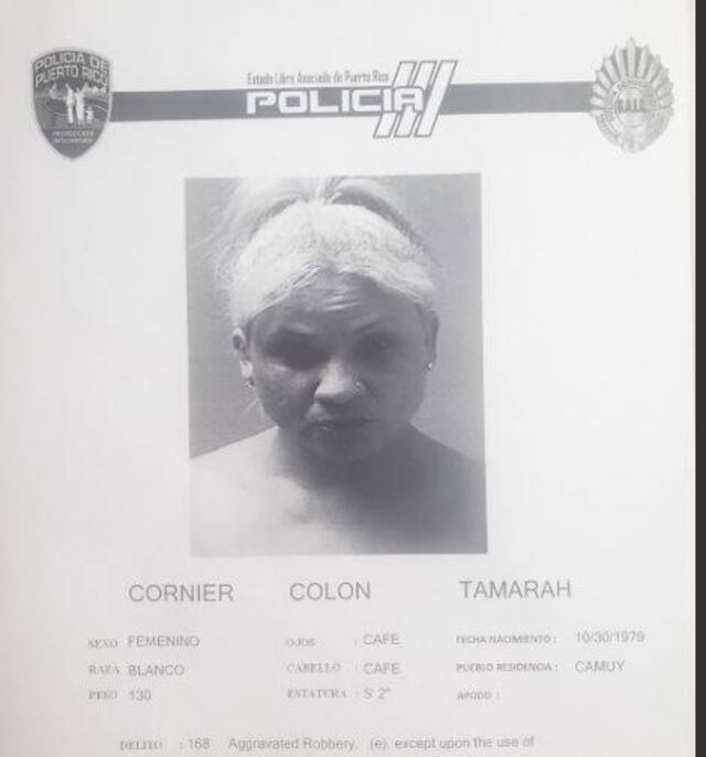 Arrestan a mujer que cometió varios robos en Camuy