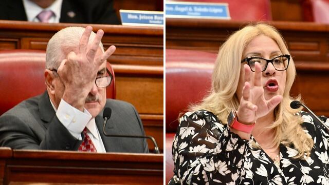 VIDEO: Tremendo regaño de Rivera Schatz a senadora en Comisión Total