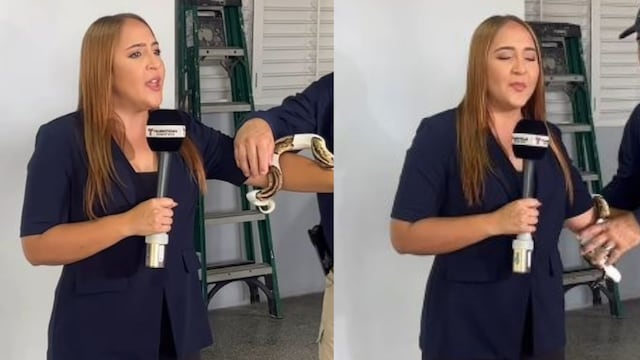 Dianerys Calderón enfrenta su miedo a las culebras: “Por poco me desmayo”