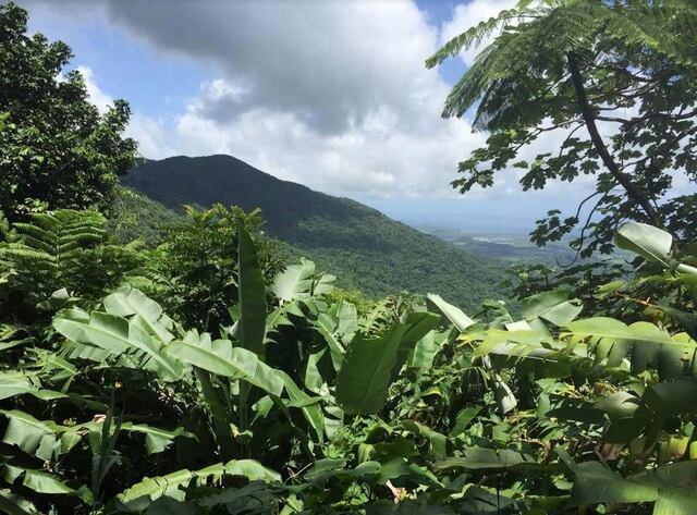 Radican proyecto de ley para reconocerle derechos a la Naturaleza