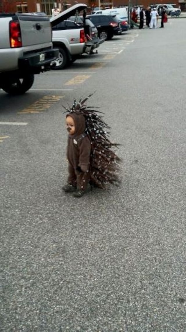 Niño "rompe internet" con su disfraz de Halloween