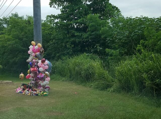 Rinden tributo a familia víctima de pistoleros asesinos en Dorado