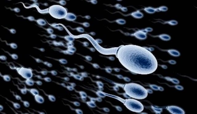 Pérdida de peso en los hombres podría duplicar los niveles de espermatozoides