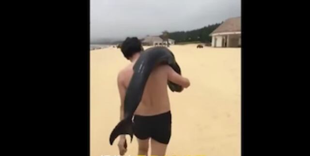Hombre va a la playa y se lleva de "recuerdo" un delfín