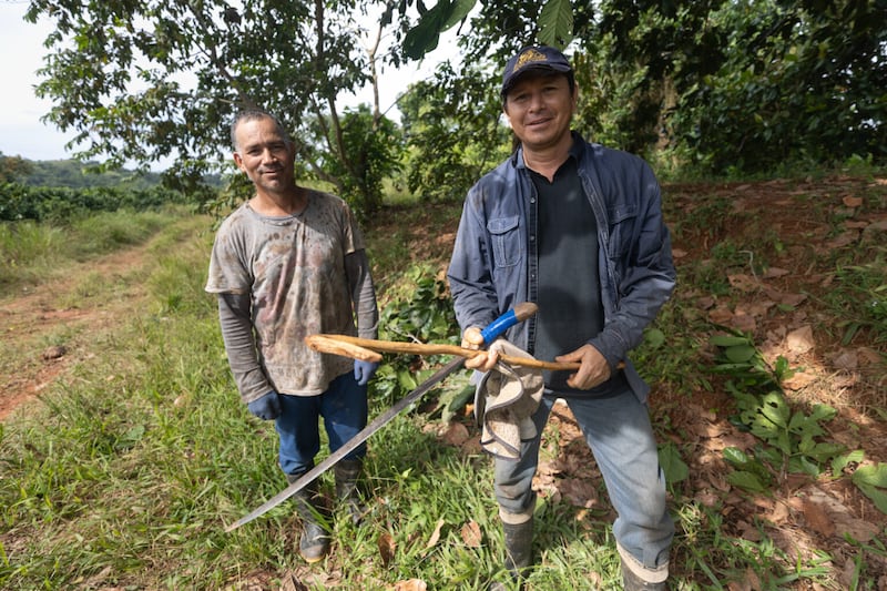 En la foto, Vladimir Tilano (derecha) y Diomides Trujillo (izquierda), trabajadores agrícolas colombianos, que coinciden en que el beneficio económico es la motivación principal para venir a trabajar en la cosecha de café de Puerto Rico durante 10 meses.