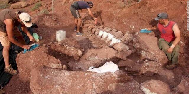 (Fotos) Encuentran fósiles del animal prehistórico más grande de la historia