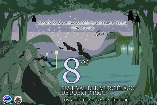 Celebrarán este sábado la octava edición del Festival del Murciélago