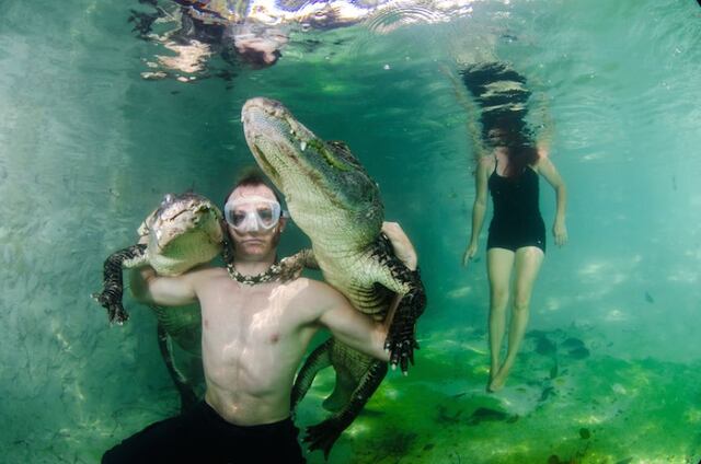 FOTOS: La pareja que lucha con peligrosos caimanes (y gana)