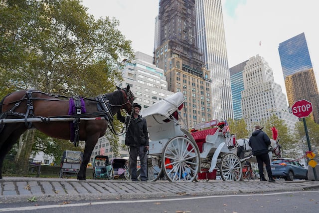 Nueva York pone fecha al fin de los carruajes de caballos en Central Park
