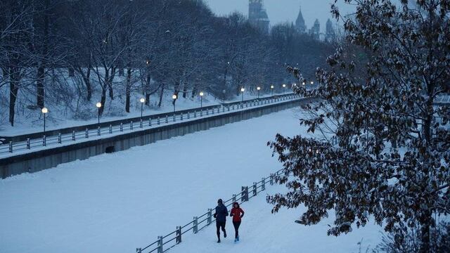 Si usted tiene una de estas 50 profesiones podría irse a Canadá