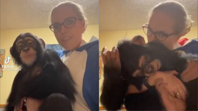 ¿Un sustito? Veterinaria simula morder la oreja de un mono y su reacción se hace viral
