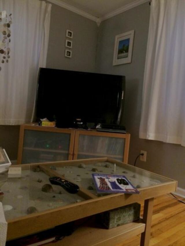 ¿Pueden encontrar al gato en esta imagen?