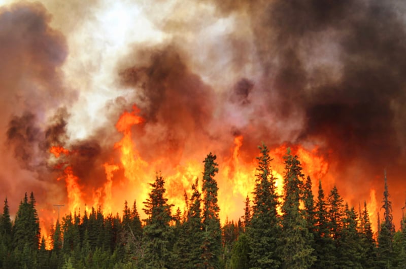 Incendio forestal en Alaska en 2015. (Archivo)