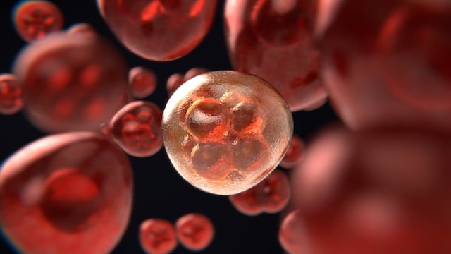 Nuevo descubrimiento podría conducir a la cura del cáncer pancreático