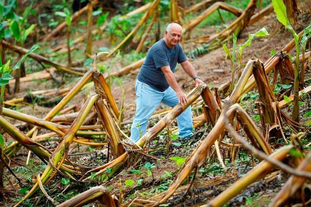 Walmart y The Miami Foundation otorgan a Mercy Corps cerca de $5 millones en apoyo a las iniciativas de ayuda y recuperación para las víctimas del huracán en Puerto Rico
