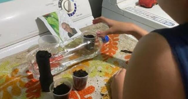 Desarrollan hidropónicos caseros en escuela de Bayamón