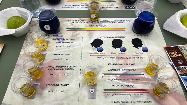 Aprende  a catar aceite de oliva extra virgen como todo un experto