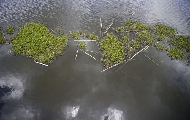 Remanentes de la tormenta tropical Dolly dan alivio a los embalses