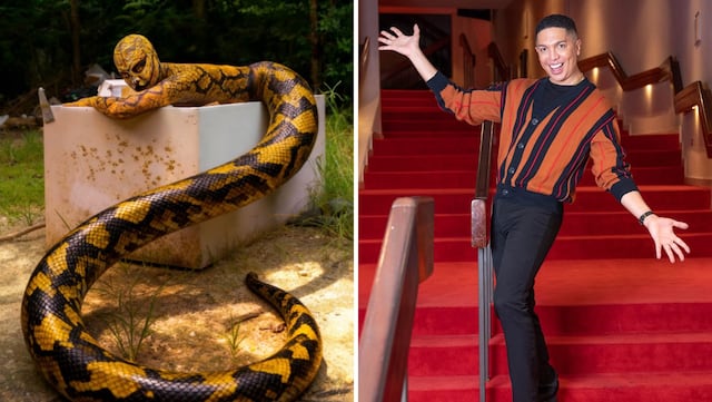 ¡Agárralo Gongo! Bryan Villarini se disfraza de “pitón reticulada” y ya ganó Halloween