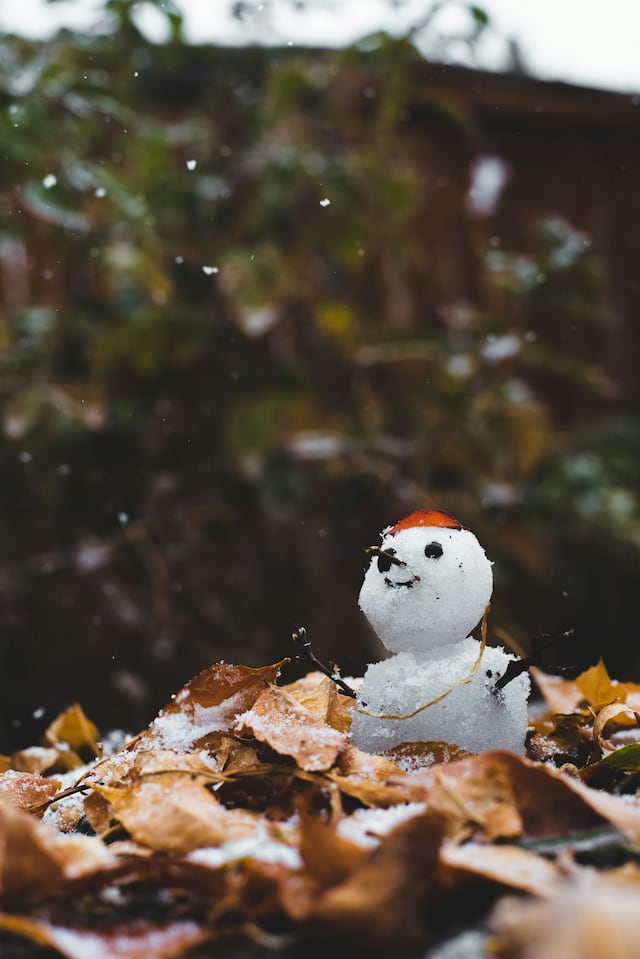 El calentamiento global pone en riesgo la “Blanca Navidad”