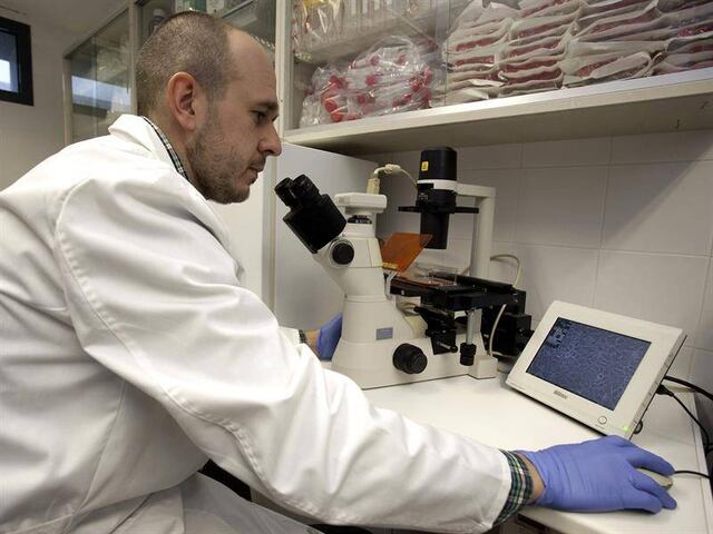 Crean herramienta que podría usarse para identificar el cáncer