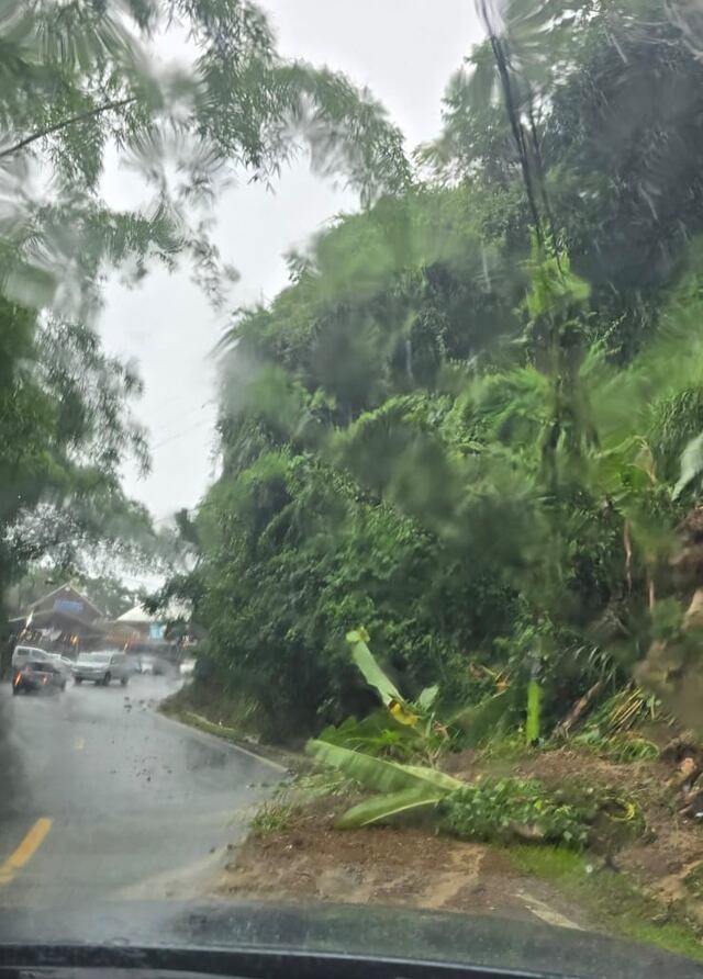 Autoridades reportan deslizamientos en carretera de Morovis tras intensas lluvias
