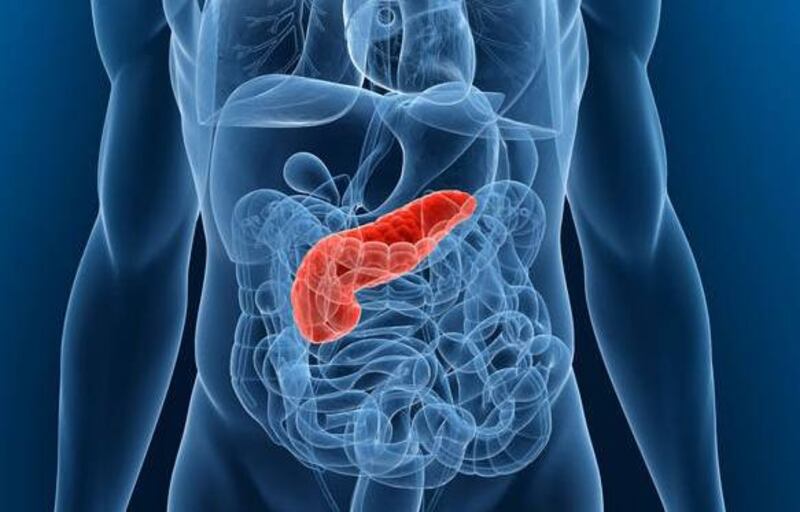 Logran descubrir la clave para lidiar con el temido cáncer de páncreas