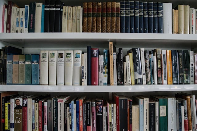 Dan a conocer los géneros literarios más populares del 2024