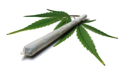 Arrestan a padre de niña que llevó cigarrillo de marihuana a escuela en Toa Alta