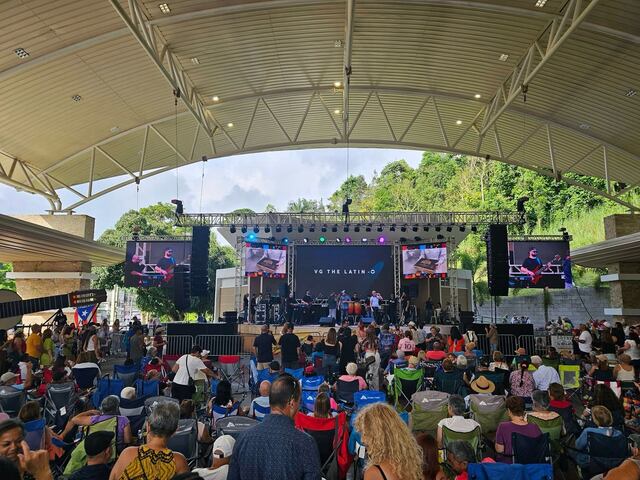 Invitan a la vigésima quinta edición del Festival del Apio en Barranquitas