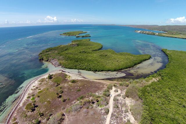 Para la Naturaleza celebrará cumbre virtual Puerto Rico Conserva el 21 y 22 de abril
