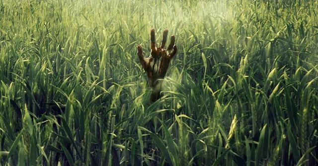 Netflix estrena tráiler adaptación cinematográfica de "In the tall Grass"