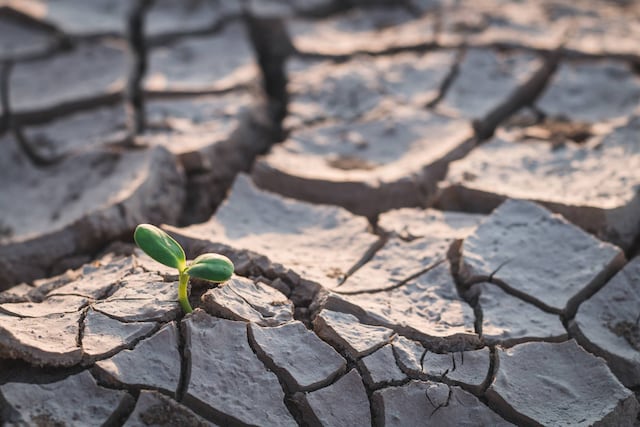 Proponen reclutar más maestros para incorporar conciencia ambiental en el currículo de enseñanza