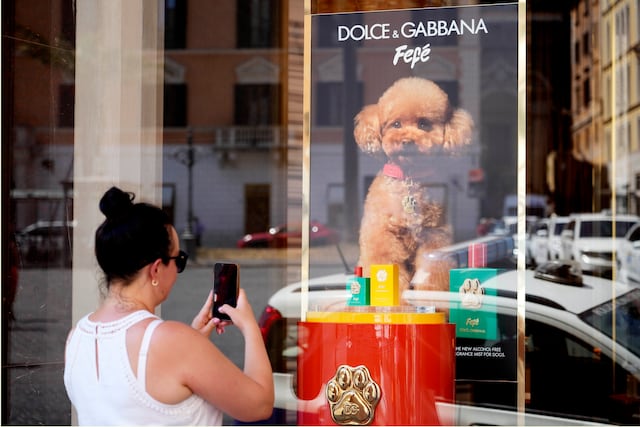 Dolce & Gabbana lanza perfume para perros, pero los veterinarios tienen sus dudas