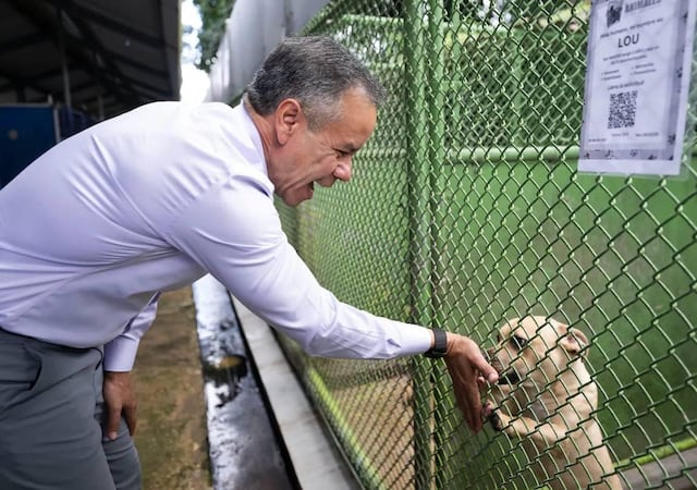 Municipio de San Juan recibe subvención de PetSmart Charities para preparar más mascotas para adopción